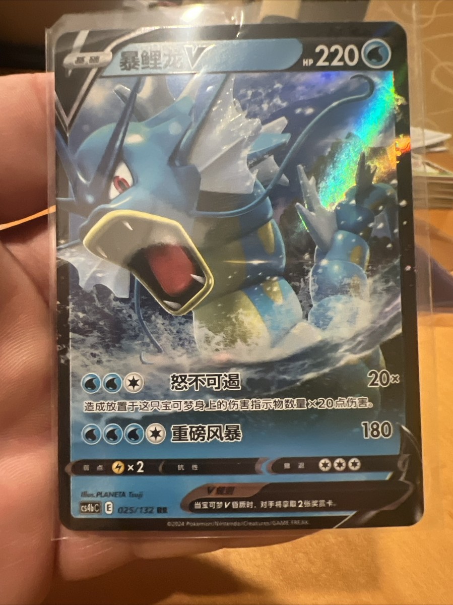 世界254枚 PSA10 ギャラドスV gyarados 2021 53 世界254枚 PSA10 ギャラドスV gyarados 2021 53 254 Copies Of