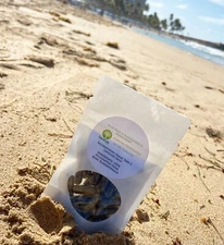 Irish Sea Moss (Chondrus crispus) + Bladderwrack Capsules