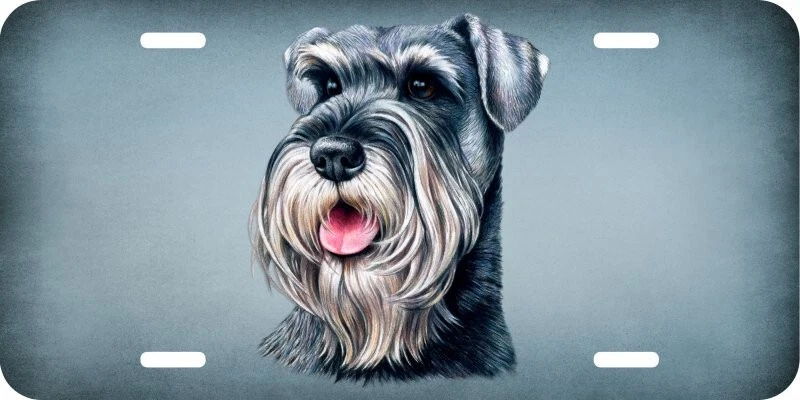 Schnauzer Dog Pet Pets Aluminum Car License Plate Tag LP677 eBay