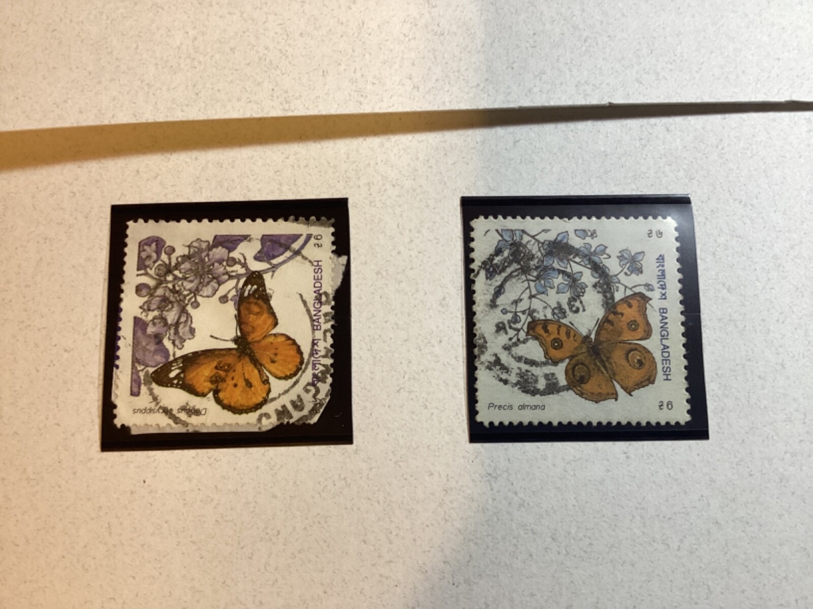 Picture 3