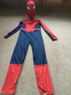 Spider Man Fancy Dress Costume outfit