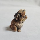 Foto 5 di 11