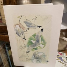 Charles Tunnicliffe Society Kittiwakes Xmas card Ltd Ed of 100 for members only