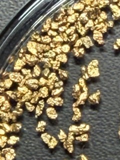 🔥 .8 GRAMS BERING SEA GOLD NUGGETS!!!🔥