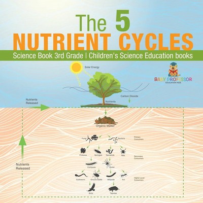 Baby | The 5 Nutrient Cycles - Science Book 3rd Grade Children's Science...