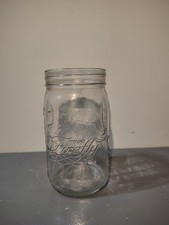 Gemmy My Pet Firefly Super Rare Green Blue Fly Jar Only