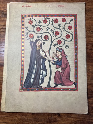 Lot Of 12 Vintage Codex Manesse Hand Tint Illustration Medieval Art Print - Picture 8 of 17