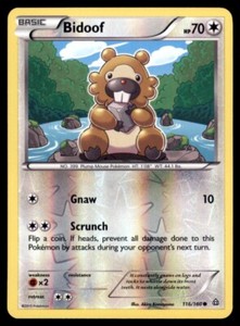 Pokemon TCG Bidoof XY - Primal Clash #116 Reverse Holo