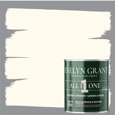 Evelyn Grant All-IN-ONE Paint & Primer Multi-Surface Paint Interior And Exterior