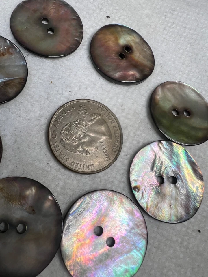 8 Botones Madreperla Tamaño Mediano 2 Agujeros Artesanía Natural (BTN2) Foto 4 de 4