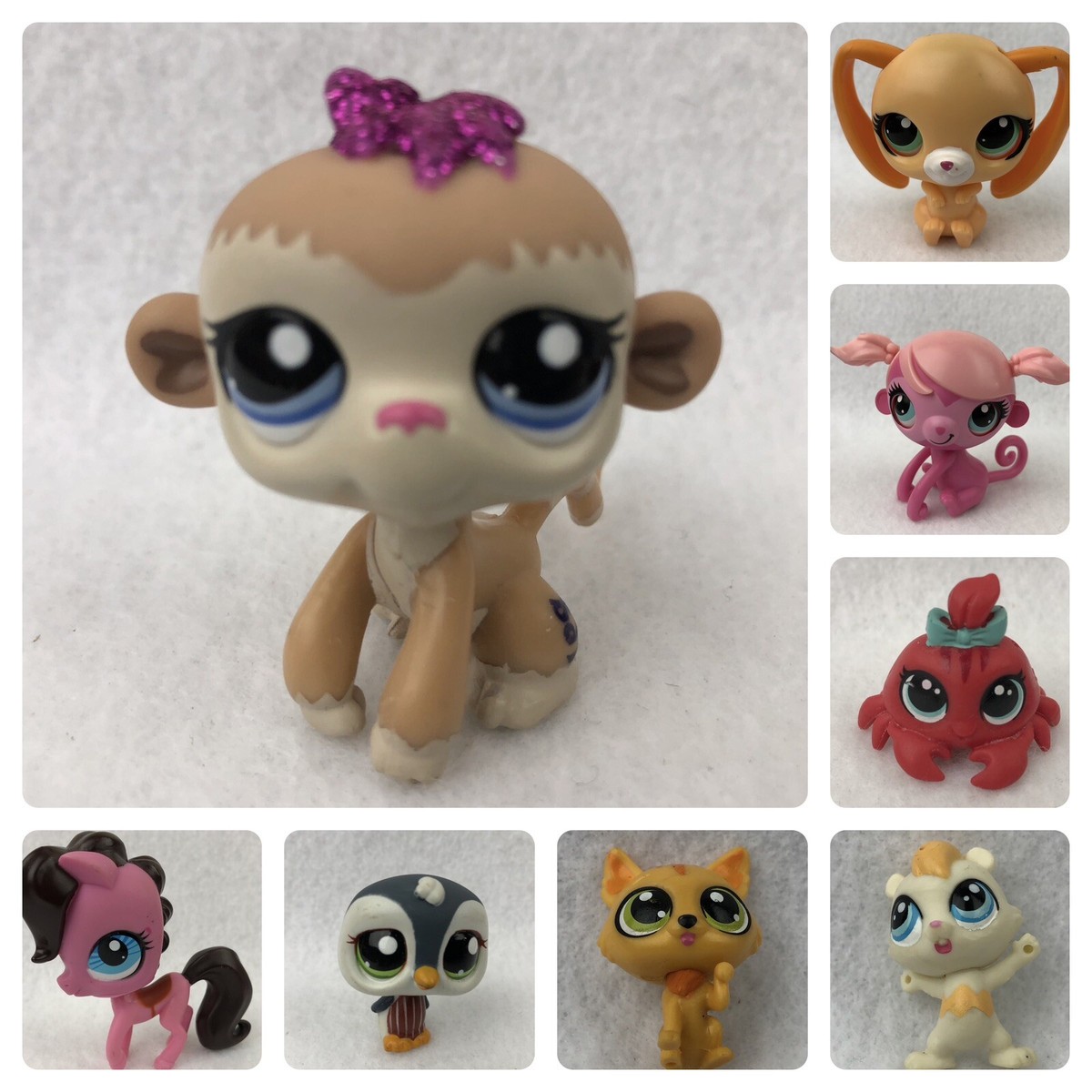 Hasbro Littlest Pet Shop Single Collectible Figure (You Choose)