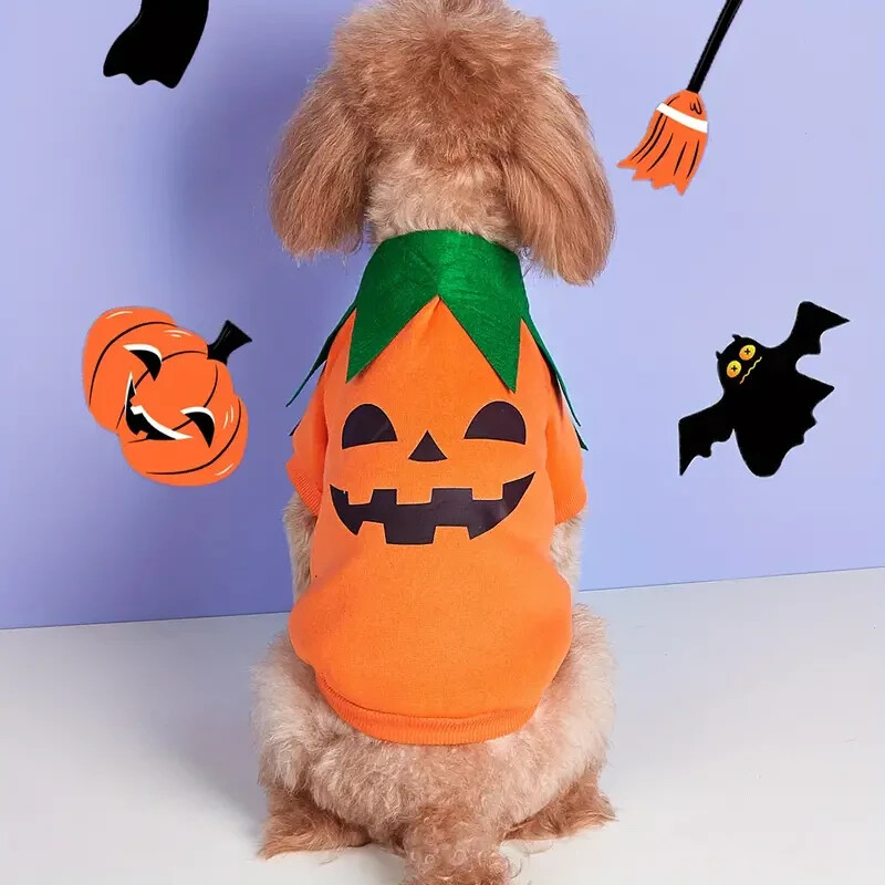 Pumpkin Jack O Lantern Dog Costume Halloween Size: Small