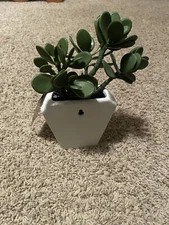 New Project 62 Wall Planter 