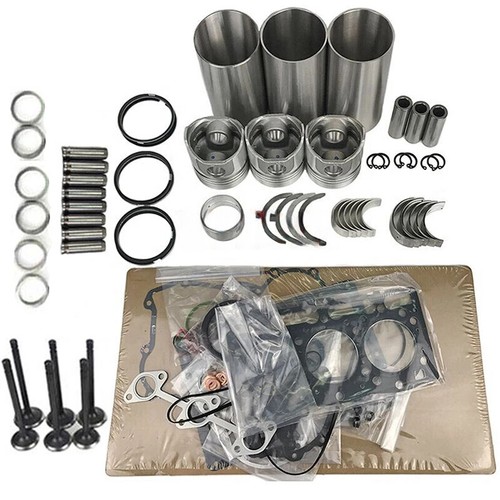 D600 Engine Rebuild Kit Fits Kubota Engine G5200H Tractor - Picture 3 of 4