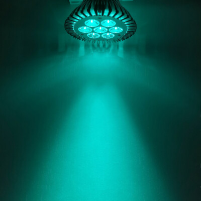 21W Cyan 495nm~500nm LED Lamp Spot Light Bulb for Plant Aquarium