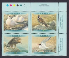 GOLDEN EAGLE, ARCTIC TERN = BIRDS = Canada 2001 #1889a MNH UR Block of 4