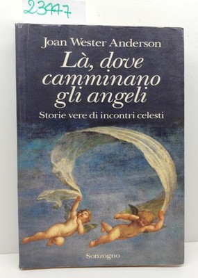Joan Wester Anderson Wo Engel gehen Traum 1995