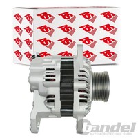 As-Pl Lichtmaschine Generator 130A Passend FüR Nissan Cabstar Navara Pathfinder
