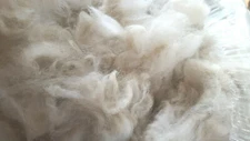 Raw White 100%  Alpaca Seconds from Log Cabin Farm Vermont