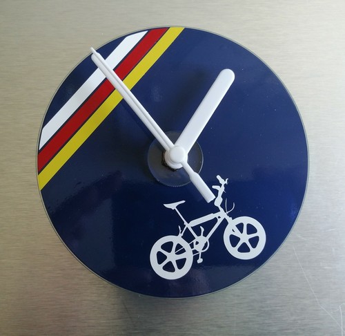 Lightweight Raleigh team aero pro 
