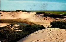 Cape Cod Massachusetts MA : NATURE SCENE d/13 AW9643