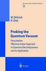 Probing the Quantum Vacuum: Perturbative Effective Action Approach in Quantum Electrodynamics and Its Application: v. 166 by Holger Gies, Walter Dittrich (Hardback, 2000)