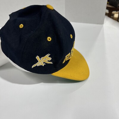 Y2K Fashion SnapBack Hat Cap Young & Reckless Rob Dyrdek | eBay