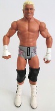 WWE 2011 Dolph Ziggler Basic Series Action Figure Mattel