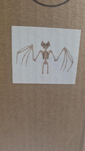 Box of 2 Hanging Bats - Halloween decoration - Brand New - Picture 6 of 6