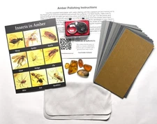 Amber Polishing kit - Every piece with insects! Burmese amber, loupe, COA