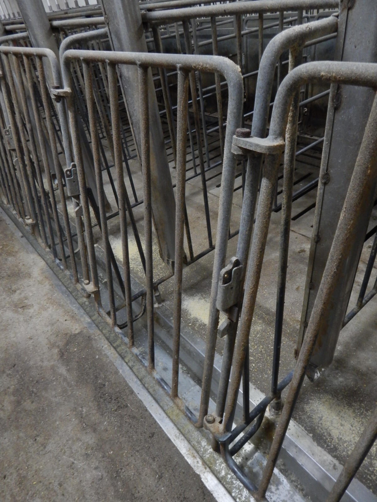 Sow Gestation Stalls