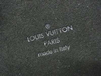 LOUIS VUITTON LV for iPhone 13 PRO MAX Bumper M81088 Monogram