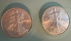 2 x  1 oz American Silver Eagle Coin BU (2010)