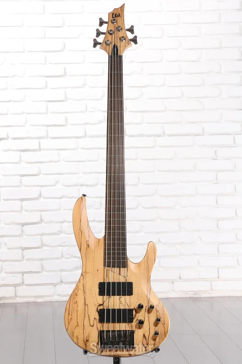 ESP LTD B-205SM Fretless Bass Guitar - Natural Satin