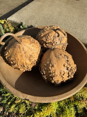 Warty Gourds Set Of 3 Dried, Cleaned Gourds Bowl Filler Craft Ready Cabin Goods