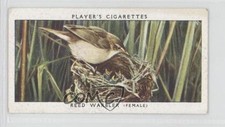 1937 Player's Birds & Their Young Tobacco Reed Warbler #45 1f60