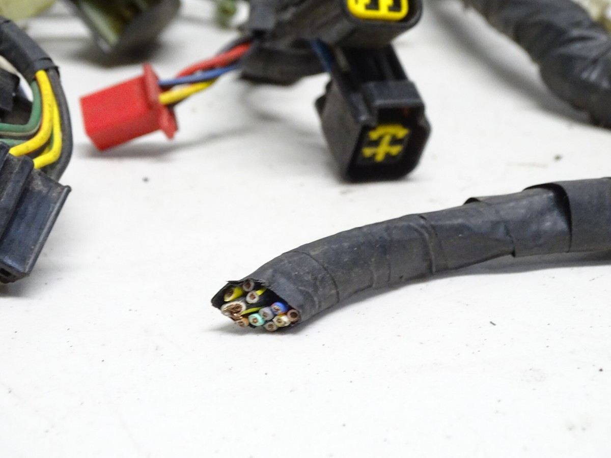1994 Kawasaki Ninja ZX6E ZX600E Main Wire Harness | eBay
