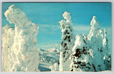 c1960s Two Top Mountain Snow Clad Trees Yellowstone Montana Vintage Postcard
