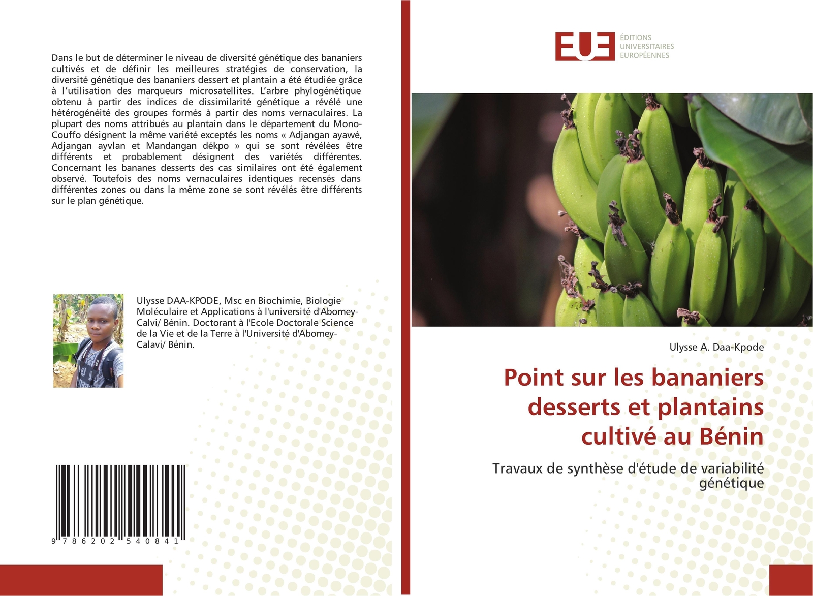 Thumbnail - Point Sur Les Bananiers Desserts Et Plantains Cultivé Au Bénin |