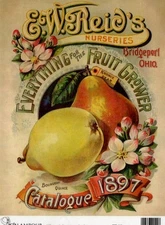 1897 Reid's Pear | A4 Rice Paper | Paper for Decoupage | Calambour