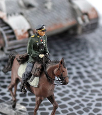 1: 72 Winter Soldiers Cavalry Officer Finished Product Model