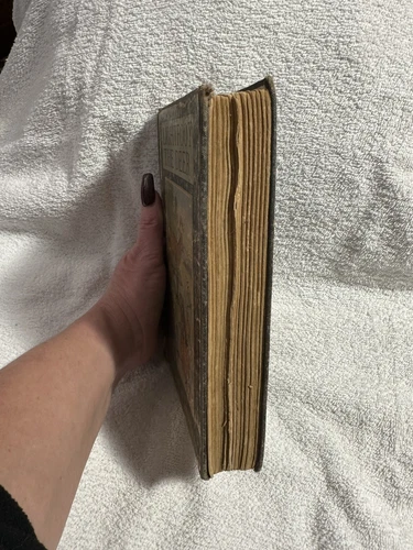 Lightfoot the deer Thornton W. Burgess Little, Brown and Co. 1st edition 1921 - 第 8 张/共 11 张