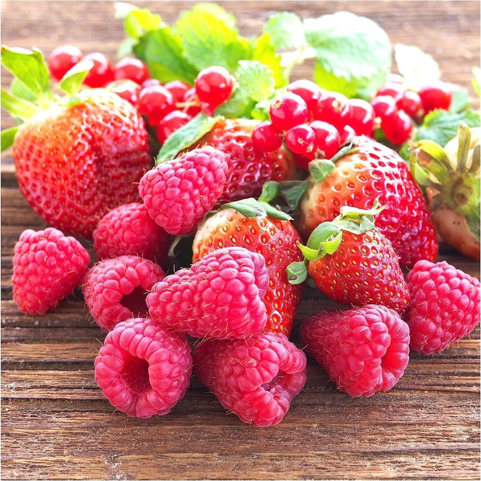 Ikea, Red SINNLIG Scented Tealight, Sweet Berries, 30 Pack - Image 2 of 2