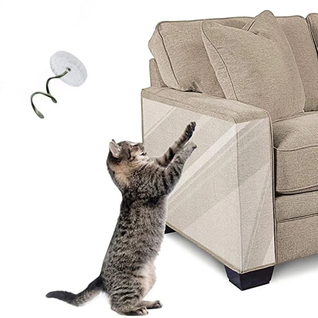 How to Protect Your Sofa from Cat Scratches, Pets