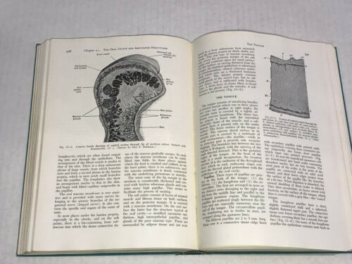 Ein Lehrbuch der Histologie von Wm Bloom & Alexander Maximow medizinisches Buch 7. Auflage - Bild 5 von 7