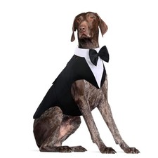 Dog Tuxedo for Large Dogs, Dog Suit and Bowtie, Formal Dogs Wedding Outfit, P...