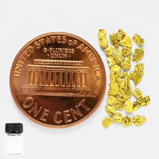 0.4226 Gram Alaska Natural Gold Nuggets in Free Glass Bottle (#B81302 14)