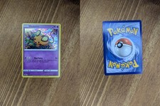 Dedenne SWSH080 Holo Promo Sword & Shield Promo Pokemon NM
