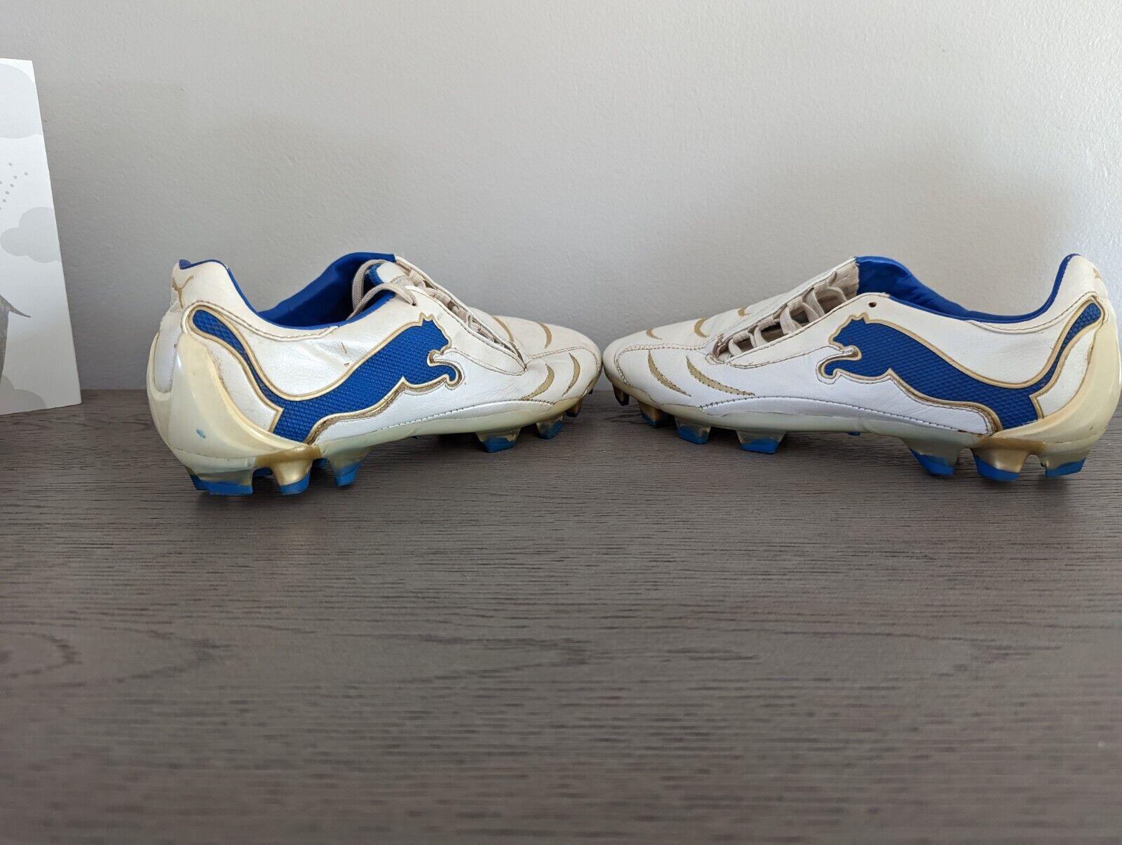 dirigir Aplicando Posible Puma PowerCat 2.10 FG Boys Leather Soccer Cleats Football Shoes Firm Grass  White | eBay