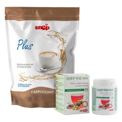 Detox CAPPUCCINO BASIC PROGRAMM, Basic 1 Plus 1000 gr 1 Das Mix-Paket